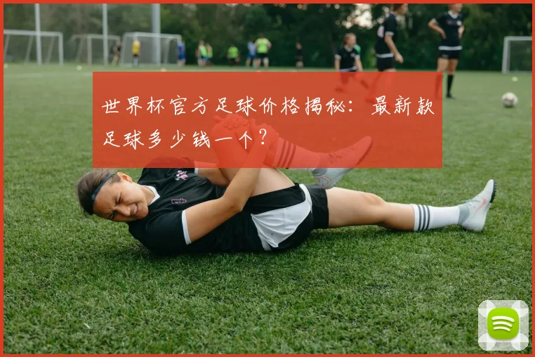 世界杯官方足球价格揭秘：最新款足球多少钱一个？