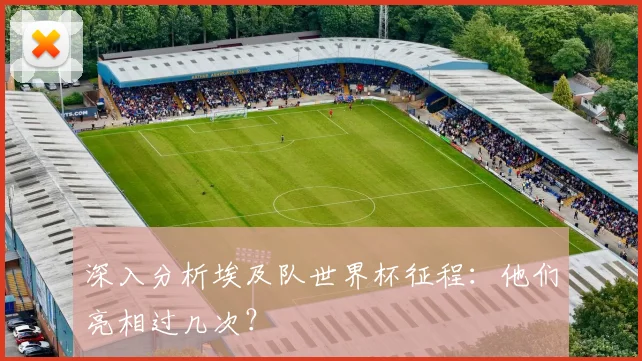 深入分析埃及队世界杯征程：他们亮相过几次？