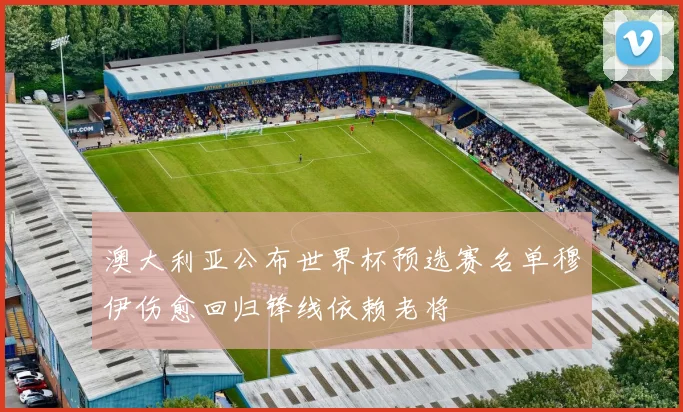 澳大利亚公布世界杯预选赛名单穆伊伤愈回归锋线依赖老将