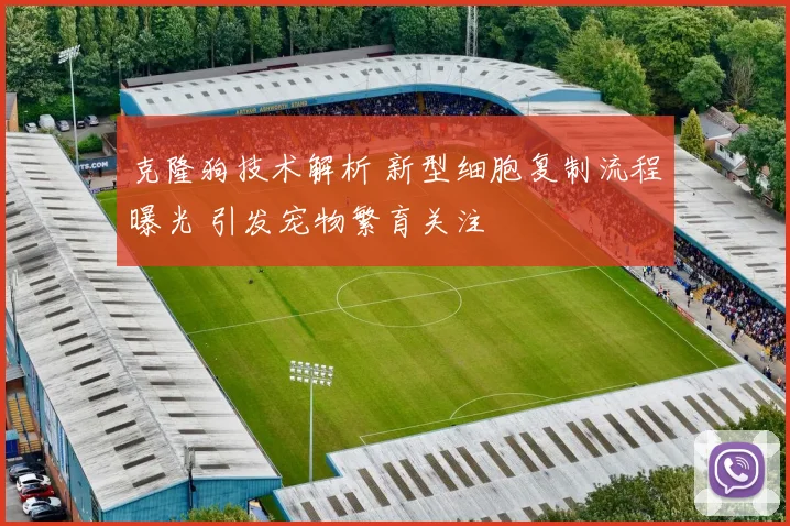 克隆狗技术解析 新型细胞复制流程曝光 引发宠物繁育关注