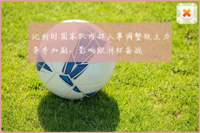 比利时国家队内部人事调整致主力争夺加剧，影响欧洲杯备战