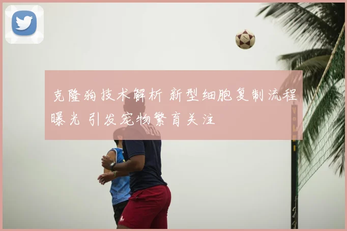 克隆狗技术解析 新型细胞复制流程曝光 引发宠物繁育关注